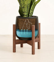 Load image into Gallery viewer, Black stand:walnut
