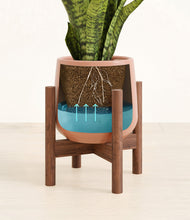 Load image into Gallery viewer, Calm Rose stand:walnut
