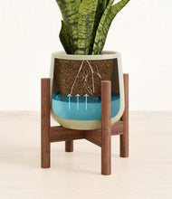 Load image into Gallery viewer, Turquoise stand:walnut
