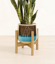 Load image into Gallery viewer, Almond Green stand:bamboo
