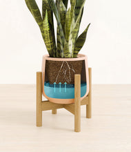 Load image into Gallery viewer, Gentle Pink stand:bamboo
