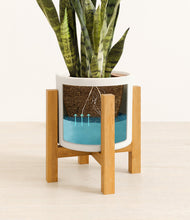 Load image into Gallery viewer, White stand:light
