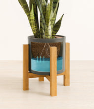 Load image into Gallery viewer, Dark Olive stand:light
