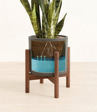 Load image into Gallery viewer, Dark Olive stand:walnut
