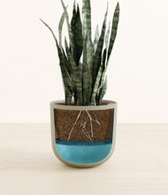 Load image into Gallery viewer, Sage Green
