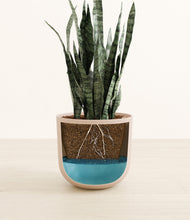 Load image into Gallery viewer, Sandy Pink
