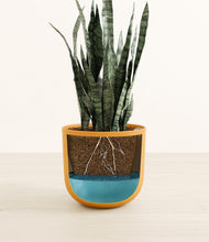 Load image into Gallery viewer, Sunset Orange
