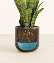 Load image into Gallery viewer, Stone Black
