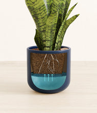 Load image into Gallery viewer, Twilight Blue
