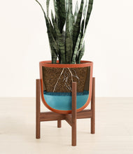Load image into Gallery viewer, Earth Red stand:walnut
