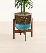 Load image into Gallery viewer, Sage Green stand:walnut
