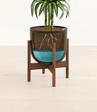 Load image into Gallery viewer, Stone Black stand:walnut
