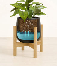 Load image into Gallery viewer, Black stand:bamboo
