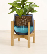 Load image into Gallery viewer, Deep Navy stand:bamboo
