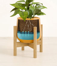 Load image into Gallery viewer, Mustard stand:bamboo
