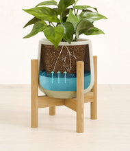 Load image into Gallery viewer, Turquoise stand:bamboo
