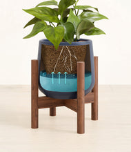 Load image into Gallery viewer, Deep Navy stand:walnut
