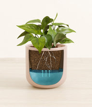 Load image into Gallery viewer, Sandy Pink
