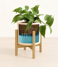 Load image into Gallery viewer, Cream stand:bamboo
