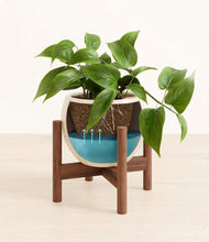 Load image into Gallery viewer, Shiny EggWhite stand:walnut
