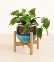 Load image into Gallery viewer, Deep Ocean stand:bamboo
