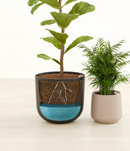 Load image into Gallery viewer, Hazy Skies
