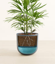 Load image into Gallery viewer, Iron Gray
