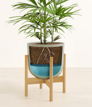 Load image into Gallery viewer, Sage Green stand:bamboo
