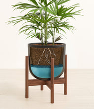 Load image into Gallery viewer, Stone Black stand:walnut
