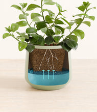 Load image into Gallery viewer, Turquoise
