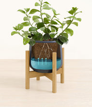 Load image into Gallery viewer, Deep Navy stand:bamboo
