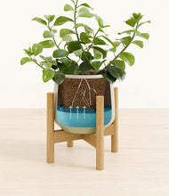 Load image into Gallery viewer, Turquoise stand:bamboo
