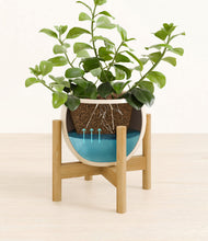 Load image into Gallery viewer, Shiny EggWhite stand:bamboo
