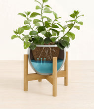 Load image into Gallery viewer, Deep Ocean stand:bamboo
