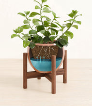Load image into Gallery viewer, Calm Rose stand:walnut

