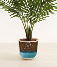 Load image into Gallery viewer, Natural Bamboo
