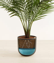 Load image into Gallery viewer, Stone Black
