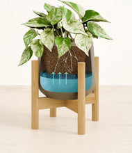 Load image into Gallery viewer, Olive stand:bamboo
