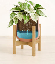 Load image into Gallery viewer, Calm Rose stand:bamboo
