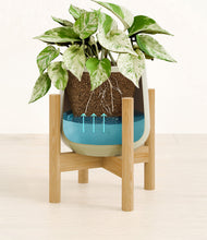 Load image into Gallery viewer, Turquoise stand:bamboo
