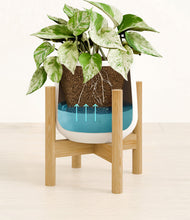 Load image into Gallery viewer, White stand:bamboo
