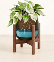 Load image into Gallery viewer, Black stand:walnut
