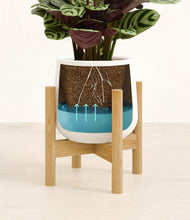 Load image into Gallery viewer, White stand:bamboo
