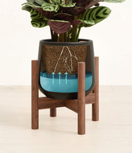 Load image into Gallery viewer, Black stand:walnut
