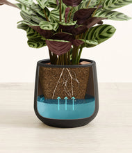 Load image into Gallery viewer, Black
