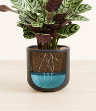 Load image into Gallery viewer, Stone Black
