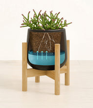 Load image into Gallery viewer, Black stand:bamboo
