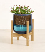 Load image into Gallery viewer, Deep Navy stand:bamboo
