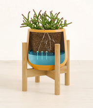 Load image into Gallery viewer, Mustard stand:bamboo
