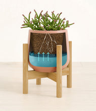 Load image into Gallery viewer, Calm Rose stand:bamboo
